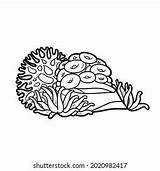 2002 Sea sponge drawing Stock Illustrations Images & Vectors  sketch template