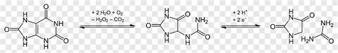 Hydantoin Condensation reaction Heterocyclic compound Lactam, Allantoin ...