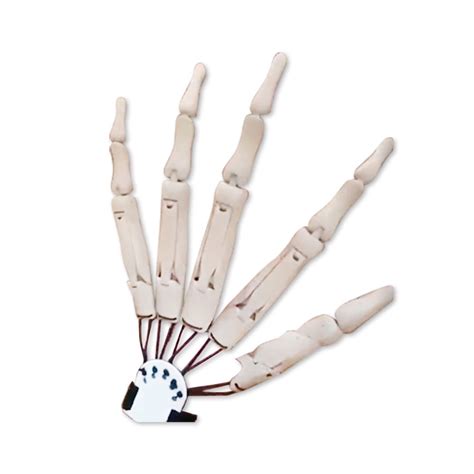 Pcapzz Halloween Articulated Fingers，Articulated Finger Extensions， 3D Printed Articulated ...