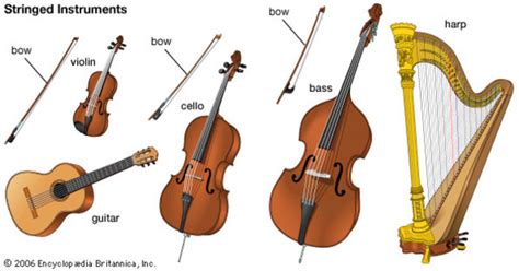 Types Of String Instruments [1 min read]