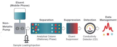 7. Principles of ion chromatography 241 . | Download Scientific Diagram