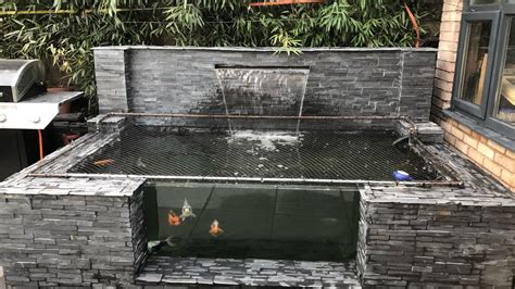 Koi Pond Window