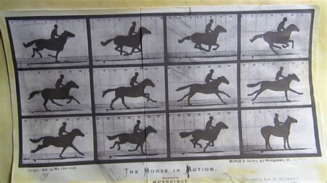 THE HORSE IN MOTION, 1878 - YouTube