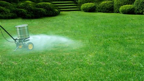 Tips for Fertilizing Your Lawn In St. Louis, MO