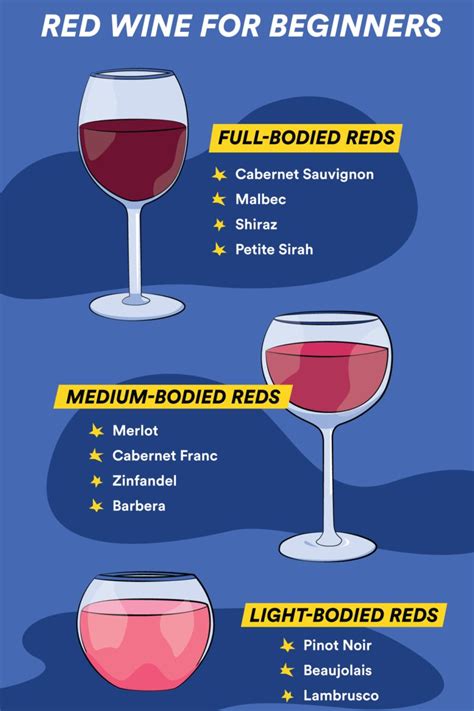 Red Wine for Beginners: Everything You Need to Know