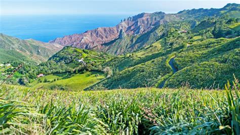 St Helena: wildlife, walks, and history | Travel | The Times