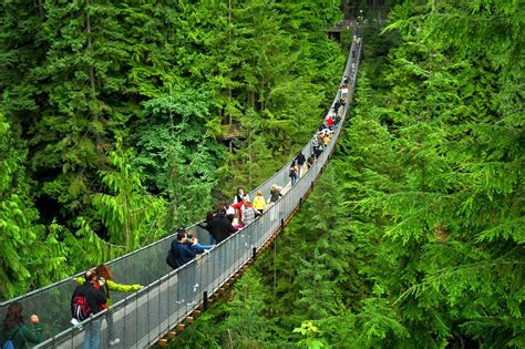 Capilano Suspension Bridge, Vancouver, British Columbia - Our World Stuff