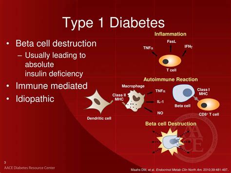 DIABETES BETA CELL DESTRUCTION – Marica Capriotti