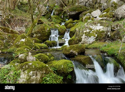 Ason river, Cantabria, Spain Stock Photo - Alamy