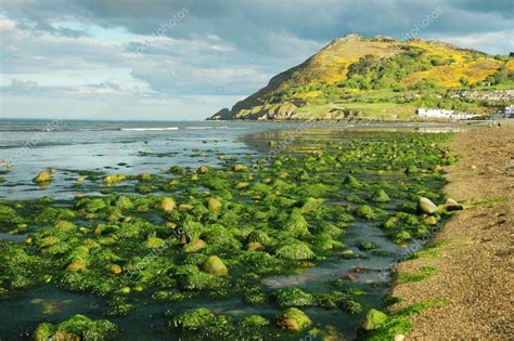 Bray beach, Ireland — Stock Photo © varsescu #32073497