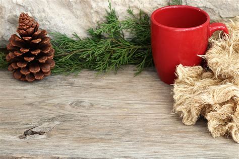 Cup And Winter Scarf Background Free Stock Photo - Public Domain Pictures
