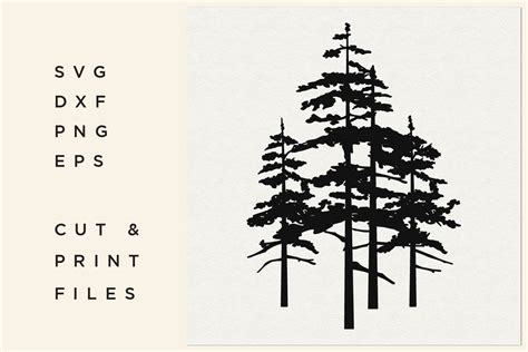 Pine Tree SVG, Trees Vector, Forest, Trees Silhouette (480260) | Cut Files | Design Bundles