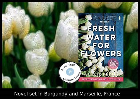 The Book Trail The Setting of Fresh Water for Flowers by Valérie Perrin - The Book Trail