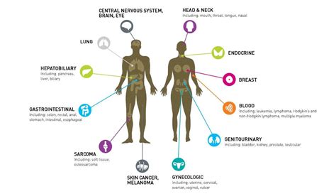 How Common Is Cancer