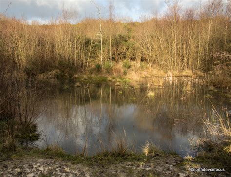 North Devon Coast and Country Chronicle: Stepping into the Past at Meeth Quarry Nature Reserve