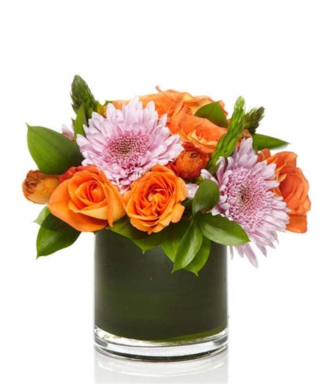 Orange Flowers | Orange Roses