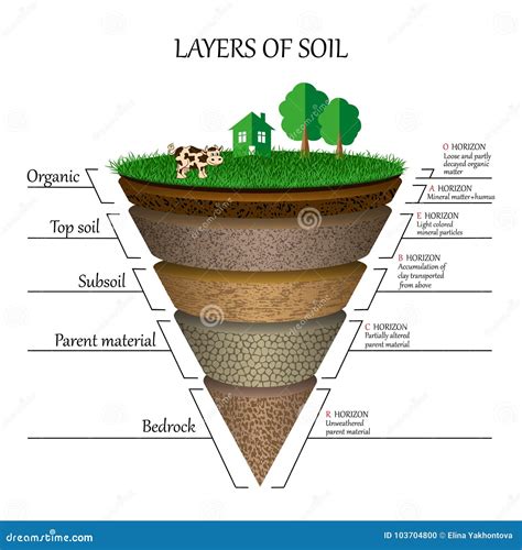 Layers of Soil, Education Diagram. Mineral Particles, Sand, Humus and ...