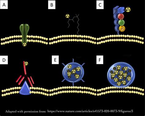 Current and upcoming radionuclide therapies in the direction of ...