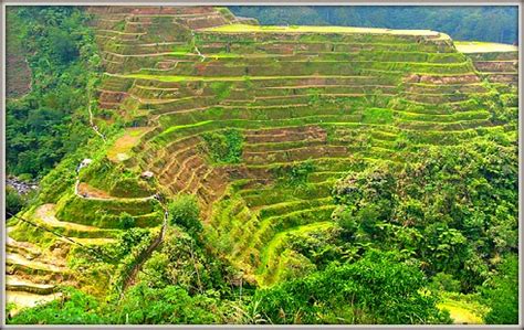 Banaue Rice Terraces of the Ifugaos