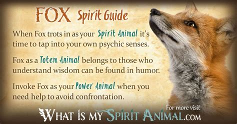 Fox Symbolism & Meaning | Spirit, Totem & Power Animal | Spirit animal meaning, Fox symbolism ...