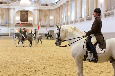 Spanish riding school, Spanish riding school vienna, Bike tour