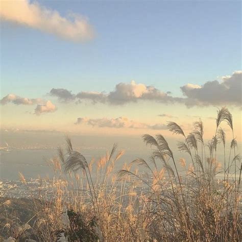 tall grass blowing in the wind on top of a hill with ocean and city in ...