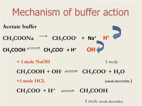 Buffer solution and Buffer Action - Chemistry, Class 11, Ionic Equilibrium