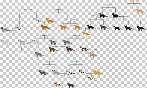 Yellowfang's Secret Warriors ThunderClan Firestar Family Tree PNG, Clipart, Free PNG Download