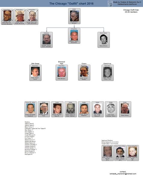 Mafia Family Leadership Charts | About The Mafia Mafia Crime, Police Crime, Real Gangster, Mafia ...