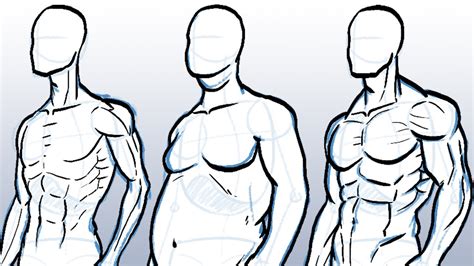 Male Body Types Drawing