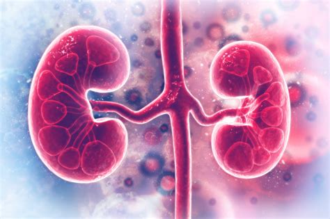 Worsening Renal Function May Be Associated With LVEF in Acute Heart ...