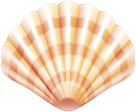 Clam Shellfish Seashell Clip art - clam png download - 600*494 - Free Transparent Clam png ...