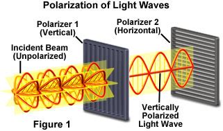 Molecular Expressions Microscopy Primer: Light and Color - Polarization of Light: Interactive ...