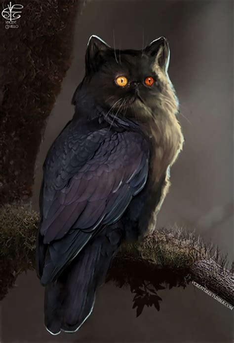 The Internet Has Transformed Felines And Birds Into Hybrid Animals in 2020 | Hybrid art, Owl cat ...