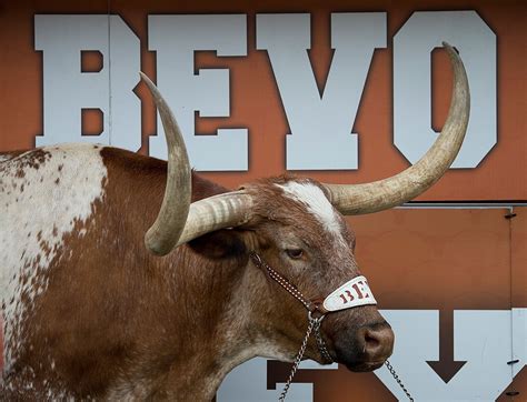 Bevo - the University of Texas Longhorns mascot | DEEP IN THE HEART OF ...