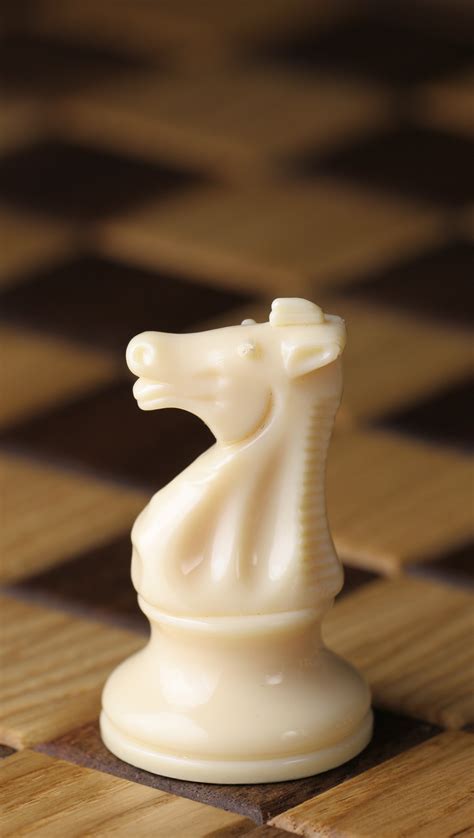 Berkas:Chess piece - White knight.JPG - Wikipedia bahasa Indonesia, ensiklopedia bebas