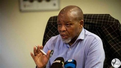 Gwede Mantashe takes state capture report on review