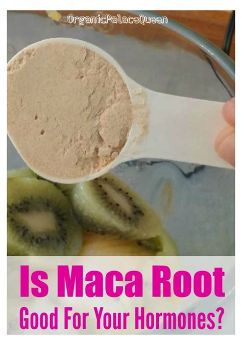 Does Maca Root Balance Hormones? - Organic Palace Queen