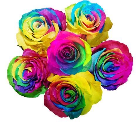 Buy 100 Real Fresh Cut Rainbow Roses | Fresh Flower Roses for Delivery ...