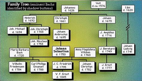 Wolfgang Amadeus Mozart Family Tree