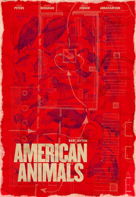 American Animals | Poster By LauraStreit