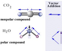 411A: M2, U4, P4 : The Polar Covalent Bond