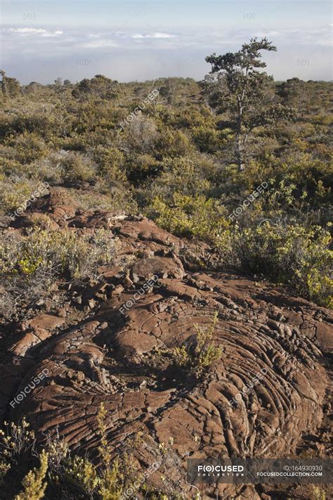 Pahoehoe Lava Formation — outdoor, natural - Stock Photo | #164930930