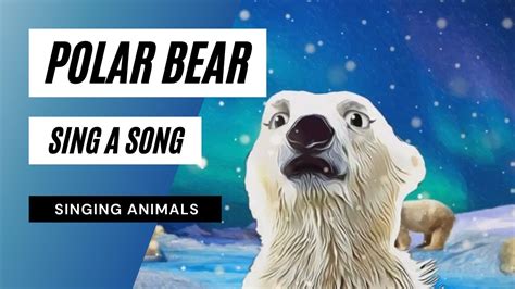 Polar Bear Sing a Song Without Music - 🐻‍ ️ the polar bear song - YouTube