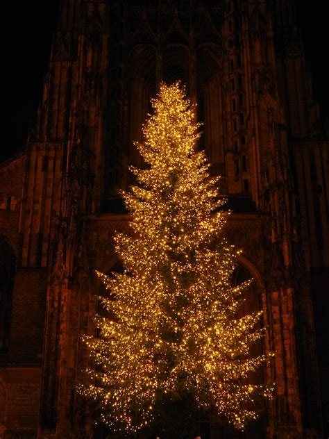 Christmas Tree Münster · Free photo on Pixabay