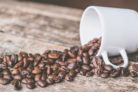 coffee beans, white, mug, caffeine, coffee, cup, espresso, roasted beans | Piqsels
