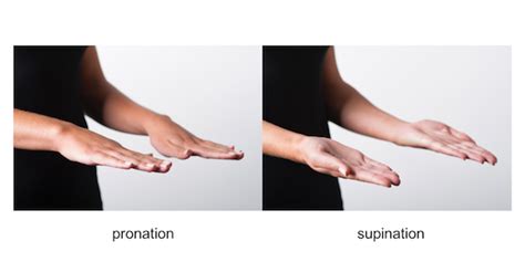 Elbow Arm Examination