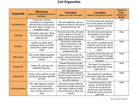 Plant Cell Structure And Function Chart | SexiezPicz Web Porn