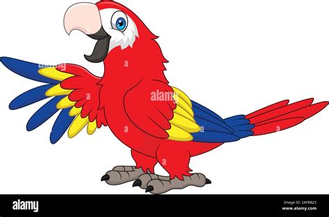 Cartoon funny macaw Stock Vector Image & Art - Alamy