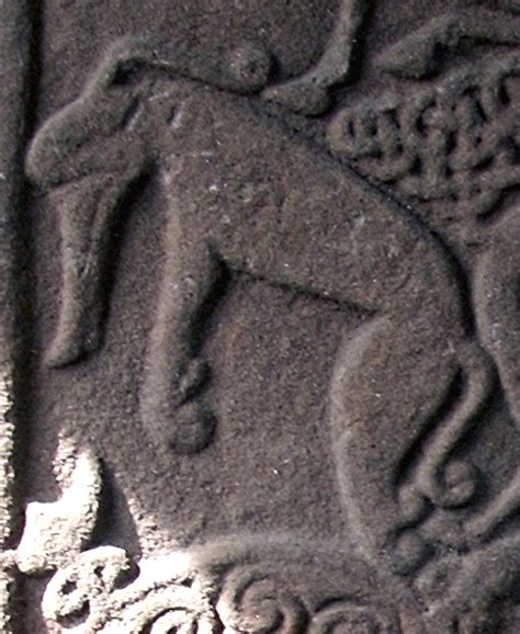 ShukerNature: WHEN TRUNKO MET NESSIE?? - PARADOX OF THE PICTISH BEAST